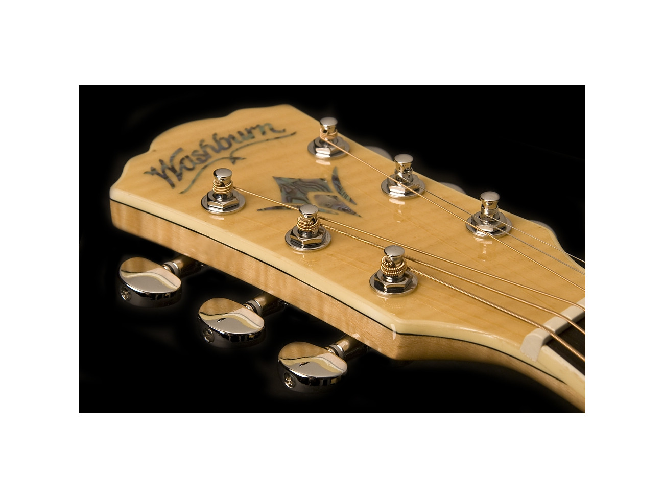 Washburn Ea 20 (N) Gitara Elektroakustyczna