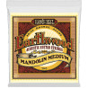 Ernie Ball Eb 2065 Komplet Strun Do Banjo I Mandolin