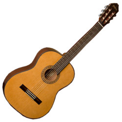 WASHBURN C 40 (N) GITARA...