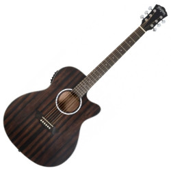 WASHBURN DF EACE - GITARA...