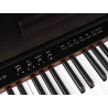 MEDELI DP 650 K RW - PIANINO CYFROWE