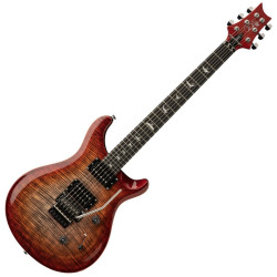 PRS SE CUSTOM 24 FLOYD...