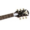 EPIPHONE PRO-1 ACOUSTIC WR