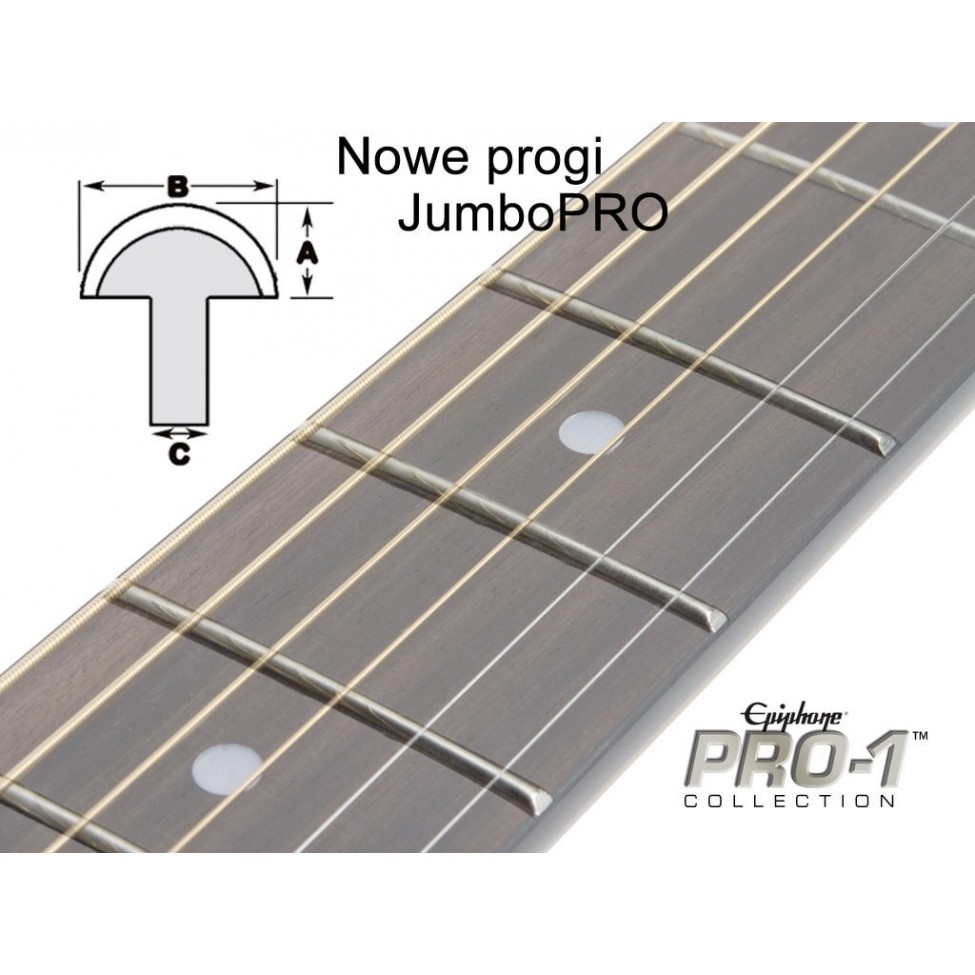 EPIPHONE PRO-1 ACOUSTIC WR
