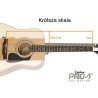 EPIPHONE PRO-1 ACOUSTIC NA