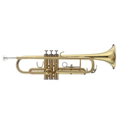 Stagg WS-TR215 - trąbka Bb...