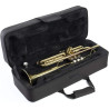 Stagg WS-TR215S - trąbka Bb + case