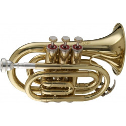 Stagg WS-TR245S - trąbka...