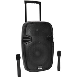 Stagg PTMS 12U BTWR -...