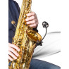 Prodipe SB21 - mikrofon instrumentalny