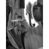 Prodipe BL21 - mikrofon instrumentalny