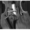 Prodipe BL21 - mikrofon instrumentalny