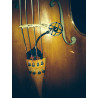 Prodipe CL21 - mikrofon instrumentalny