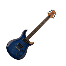 PRS SE Paul's Guitar Faded...