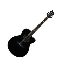PRS SE Angelus A20EBX Gloss...