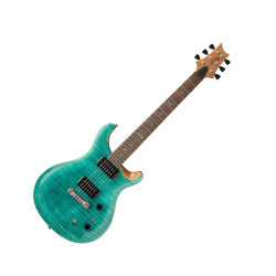 PRS SE Paul's Guitar...