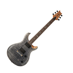 PRS SE Paul's Guitar...