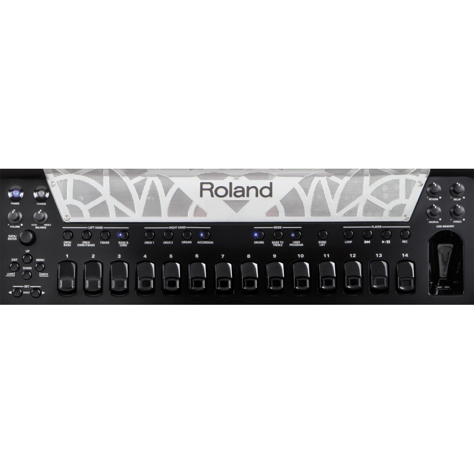 ROLAND FR-8X BK