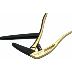 Stagg SCPX-FL GD -...
