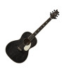 PRS SE Angelus P20E Doghair - gitara elektro-akustyczna