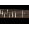 PRS SE DGT Standard Moons 2026 McCarty Tobacco Sunburst - gitara elektryczna
