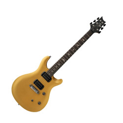 PRS SE CE 24 Standard...