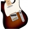 FENDER AMERICAN PROFESSIONAL TELECASTER MN 3TS