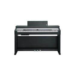 KURZWEIL CUP P1 BLACK –...