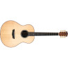 WASHBURN BTS 24 S (N) - GITARA AKUSTYCZNA