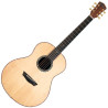 WASHBURN BTS 24 S (N) - GITARA AKUSTYCZNA