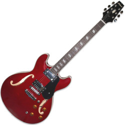 ARIA TA-CLASSIC (WR) gitara...