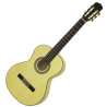 ARIA A-20 F (N) gitara akustyczna