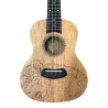 LAILA UFG-2311-C BEAR ukulele