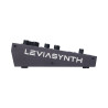 ASM LEVIASYNTH - HYBRYDOWY SYNTEZATOR ALGORYTMICZNY
