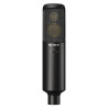 SONY C‑100 – MIKROFON POJEMNOŚCIOWY HIGH‑RES AUDIO