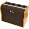 FENDER ACOUSTIC 200