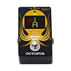 ORTEGA OCTOPUS