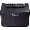 ROLAND AC-33