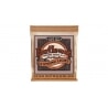 ERNIE BALL 2153 12STR