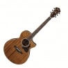 IBANEZ AEW40ZW