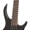 EPIPHONE TOBY STANDARD IV AW