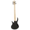 EPIPHONE TOBY STANDARD IV AW