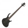 EPIPHONE TOBY STANDARD IV AW