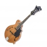 EPIPHONE MM50E - MANDOLINA