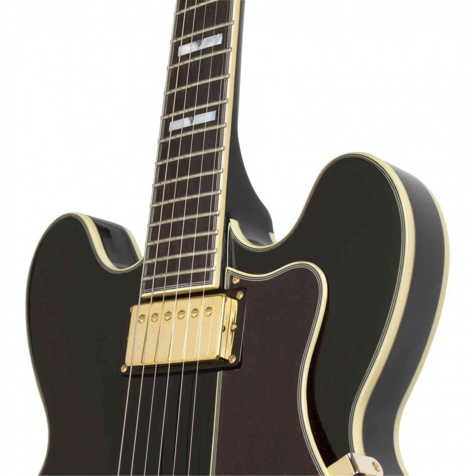 ギター Epiphone Sheraton II EB Amazon | Epiphone エピフォン エレキギター Sheraton-II PRO