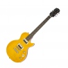 EPIPHONE SLASH AFD LES PAUL SPECIAL II OUTFIT