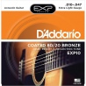 D'ADDARIO EXP10