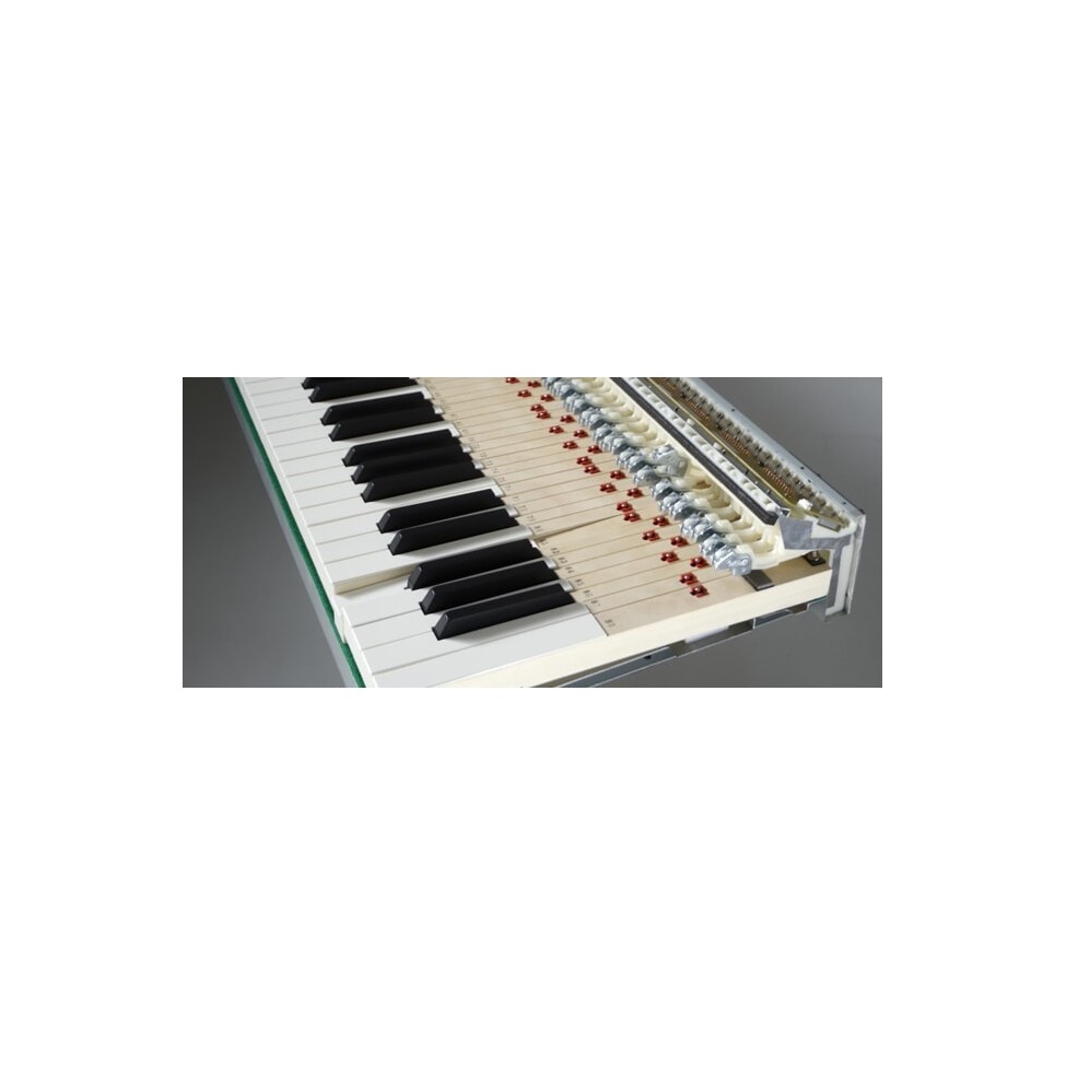 KAWAI MP11SE - PIANINO CYFROWE - Riff.net.pl