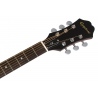 EPIPHONE AJ-210CE NA OUTFIT