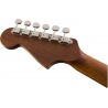 FENDER MALIBU PLAYER WN AG
